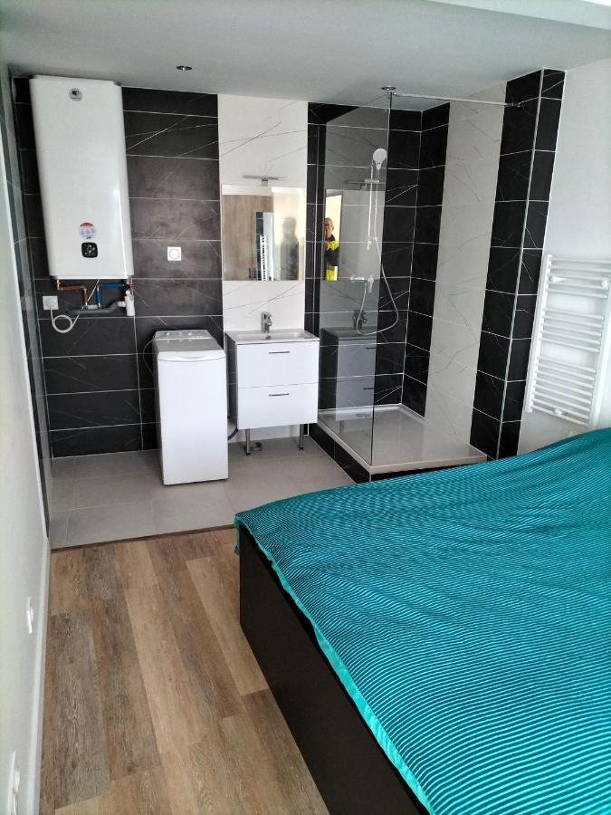 Appartement 2 Pieces Rive-de-Gier Exterior photo